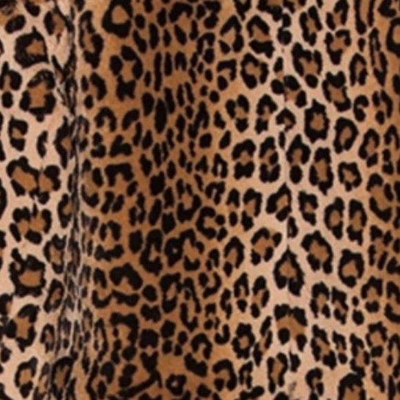 Sanctuary Sierra Faux Fur  🐆 Coat (S) - Picture 6 of 16